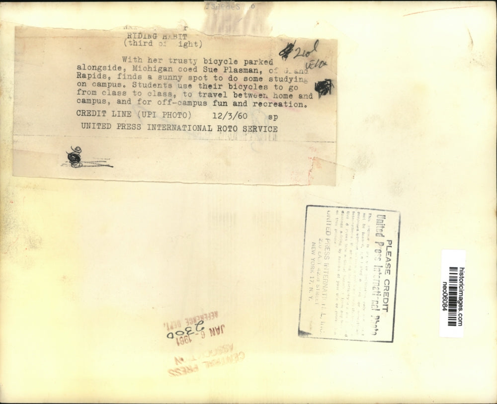 1960 Press Photo Student Sue Plasman Studying Under Tree, Grand Rapids, Michigan