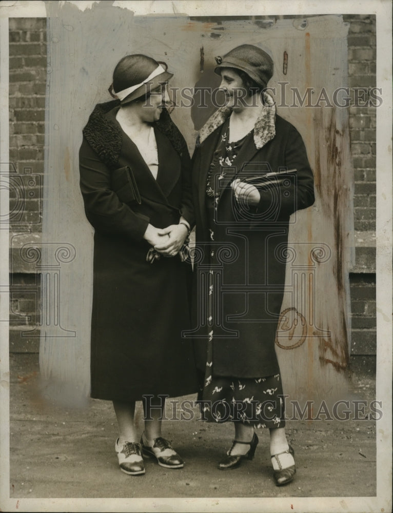 1933 Press Photo Mrs. Orlando Schiavini & Mrs. Charles Gugliotta - neo06289