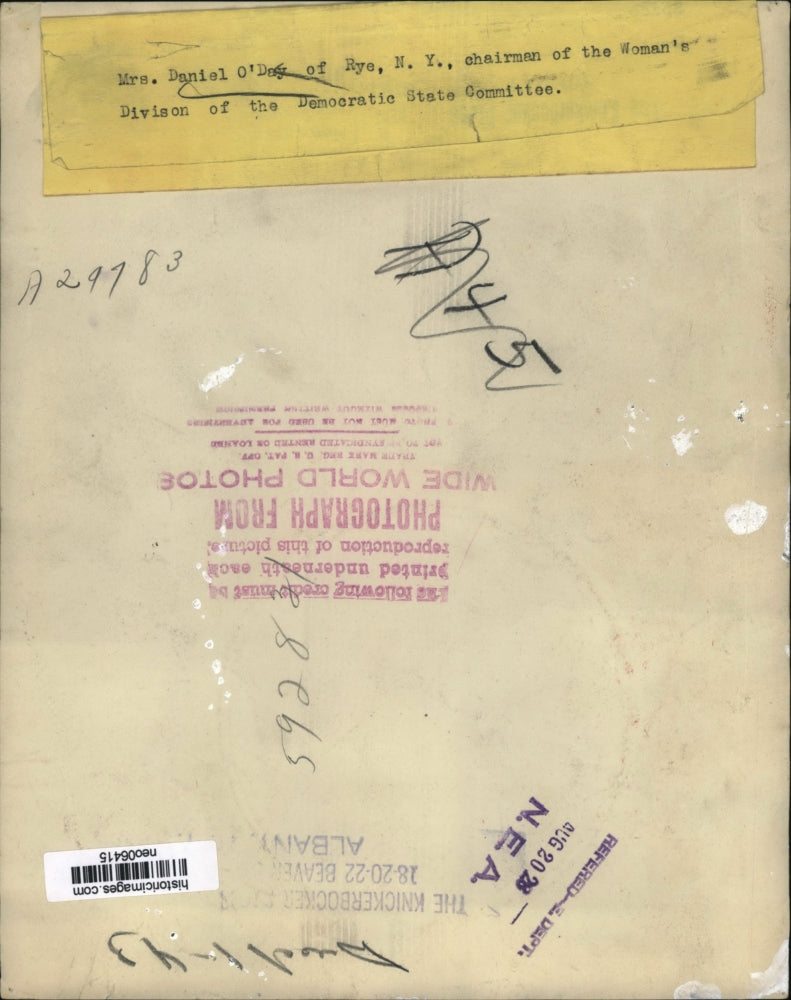 1928 Press Photo Mrs. Daniel O'Day of New York Democratic state Committee