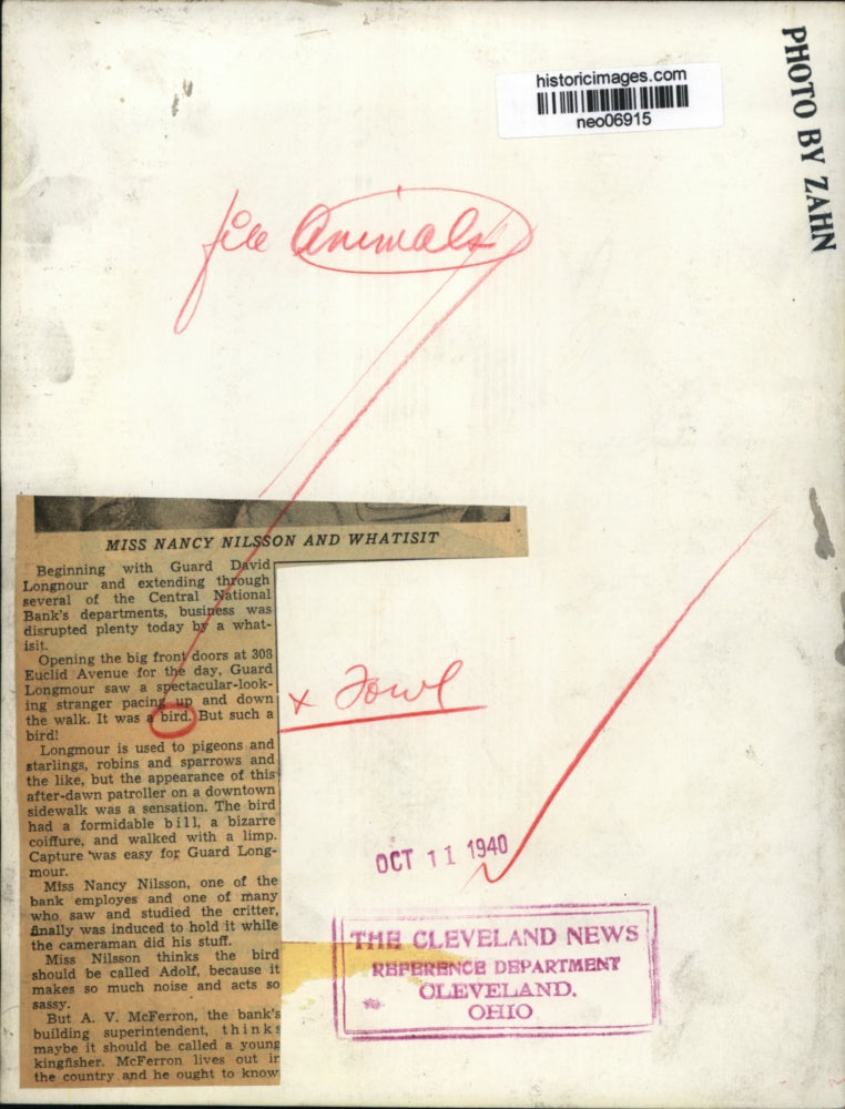 1940 Press Photo Nancy Nilsson of Central National Bank Holding Bird - neo06915