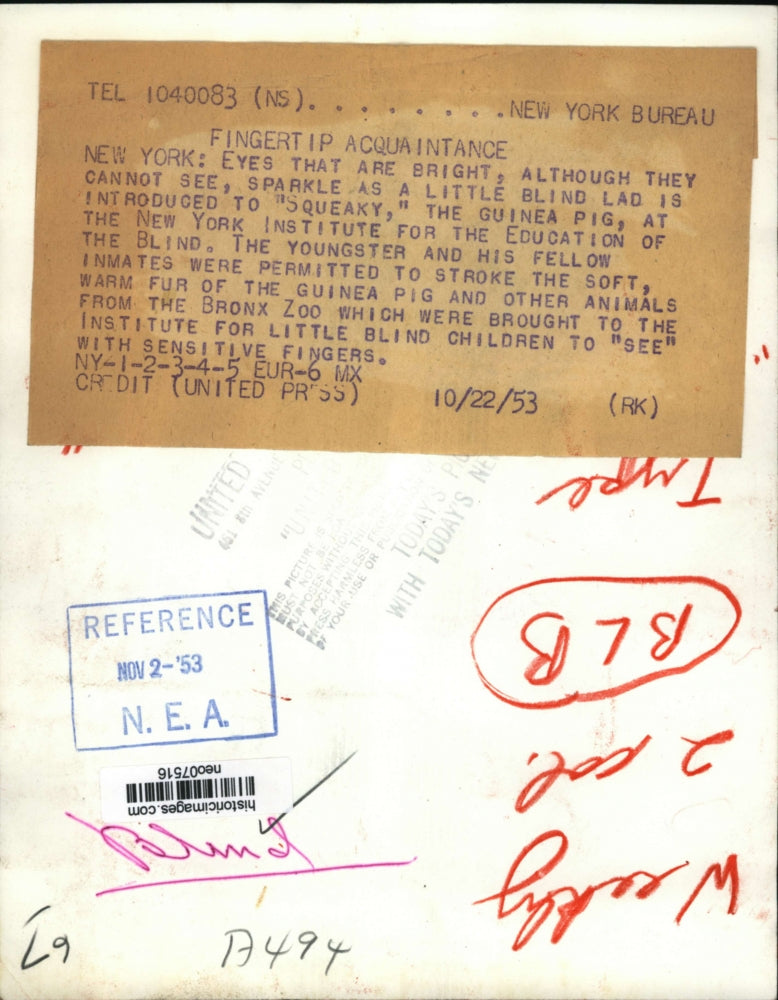 1953 Press Photo Blind children get visit for Squeaky the Guinea pig from Bronx