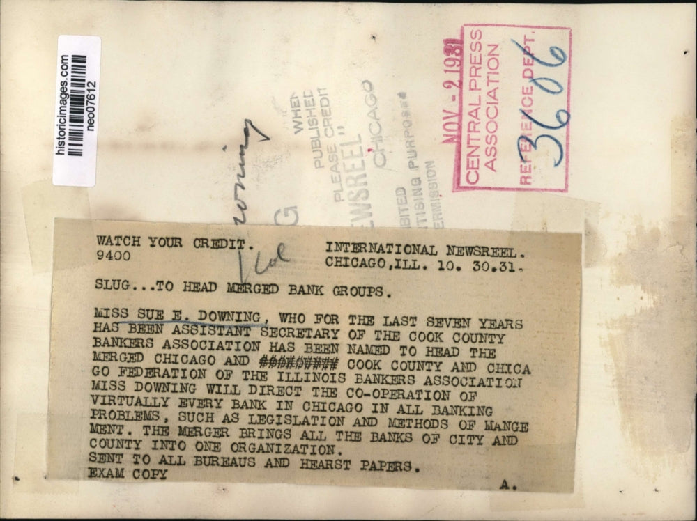 1931 Press Photo Sue E. Downing of Illinois Bankers Association - neo07612