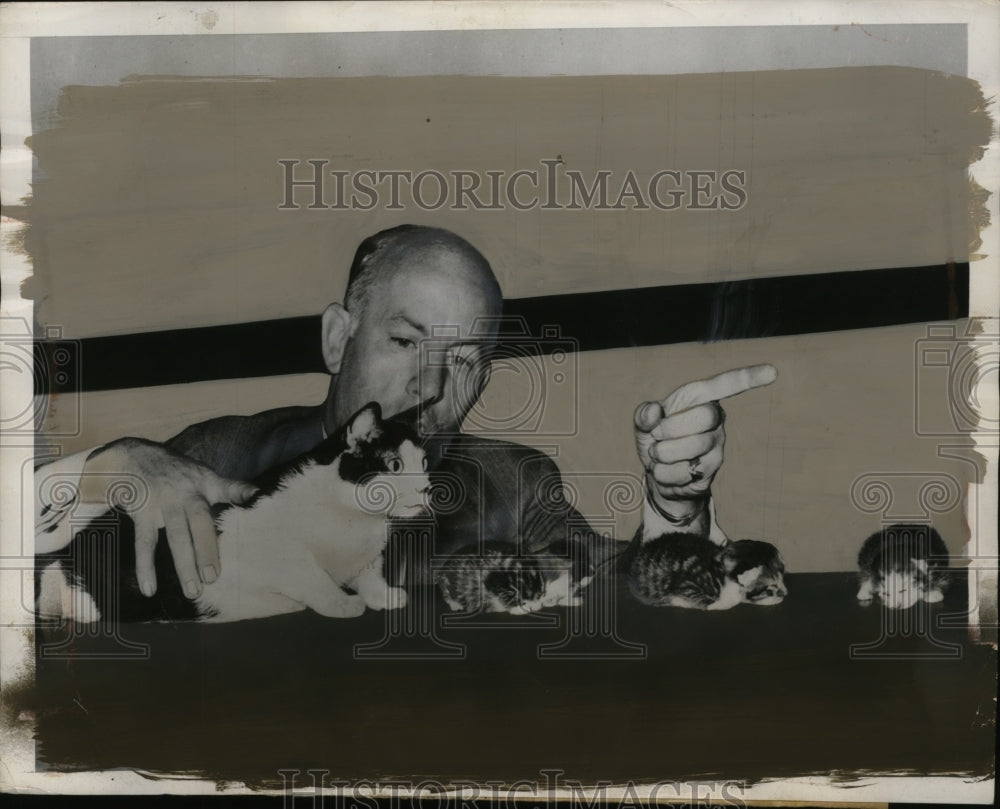 1938 Press Photo Judge David Fitzgibbob & Minni with kittens in St. Louis