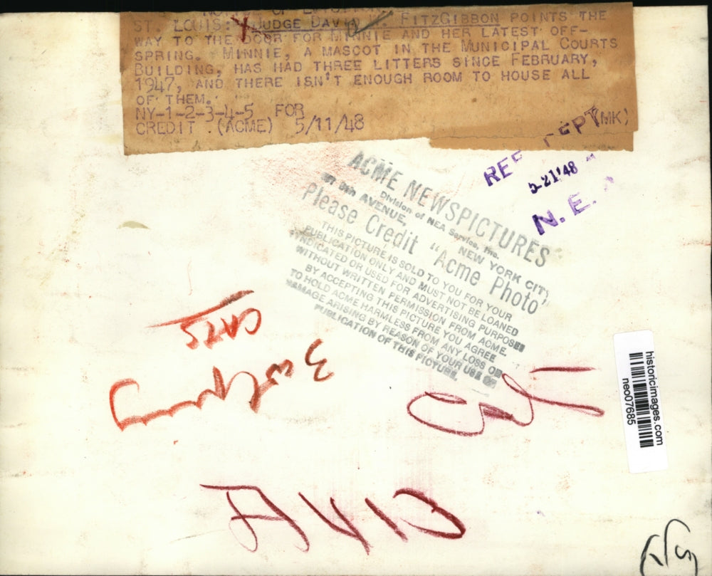 1938 Press Photo Judge David Fitzgibbob & Minni with kittens in St. Louis