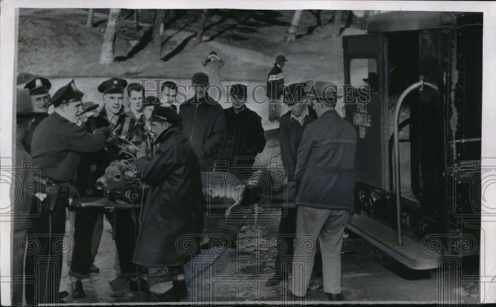 1955 Press Photo Deer fell into icy Onota Lake and recuperated with Police