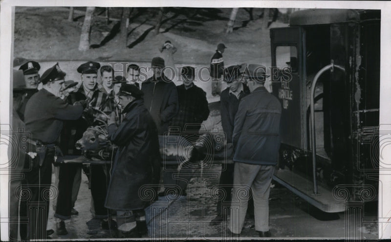 Load image into Gallery viewer, 1955 Press Photo Deer fell into icy Onota Lake and recuperated with Police
