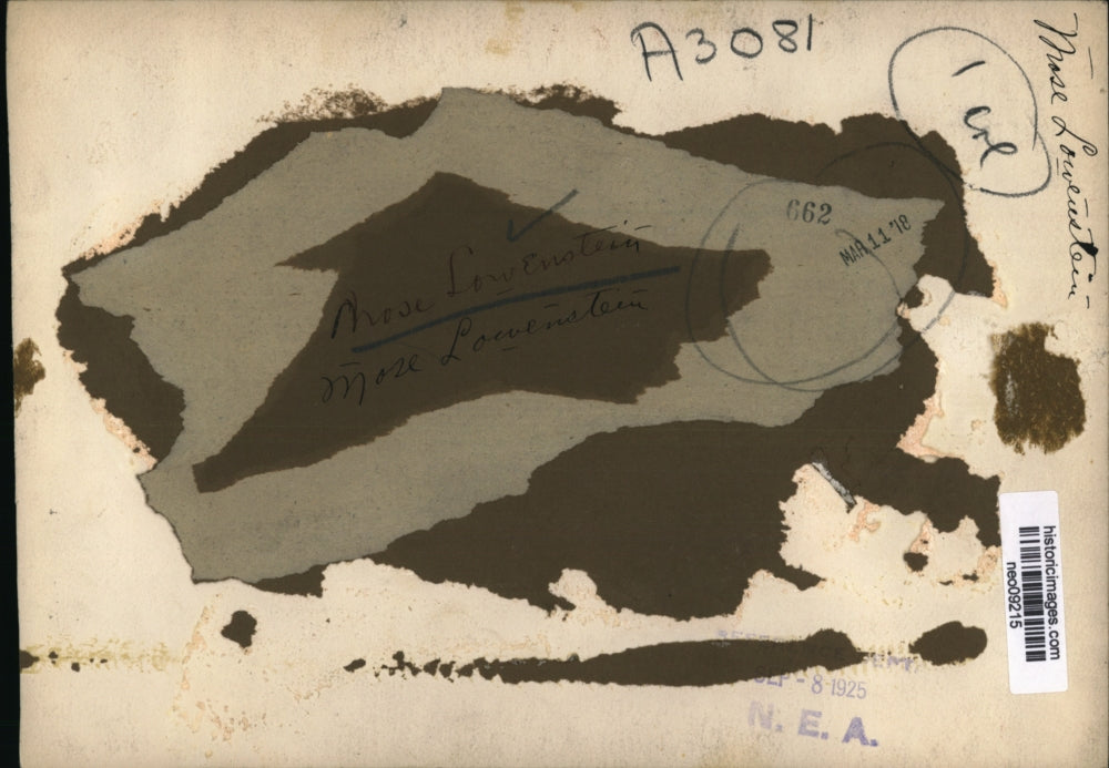 1925 Press Photo Mose Lowenstein - neo09215