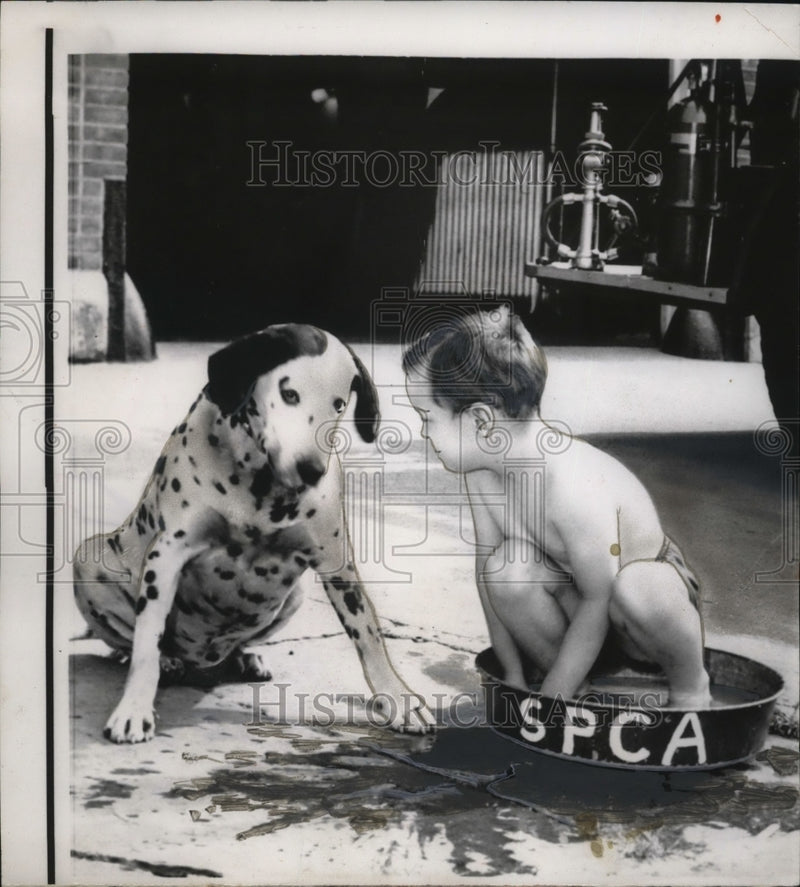 Load image into Gallery viewer, 1955 Press Photo Bobby Carter with Smoky at SPCA doggy drinking fountain in NY
