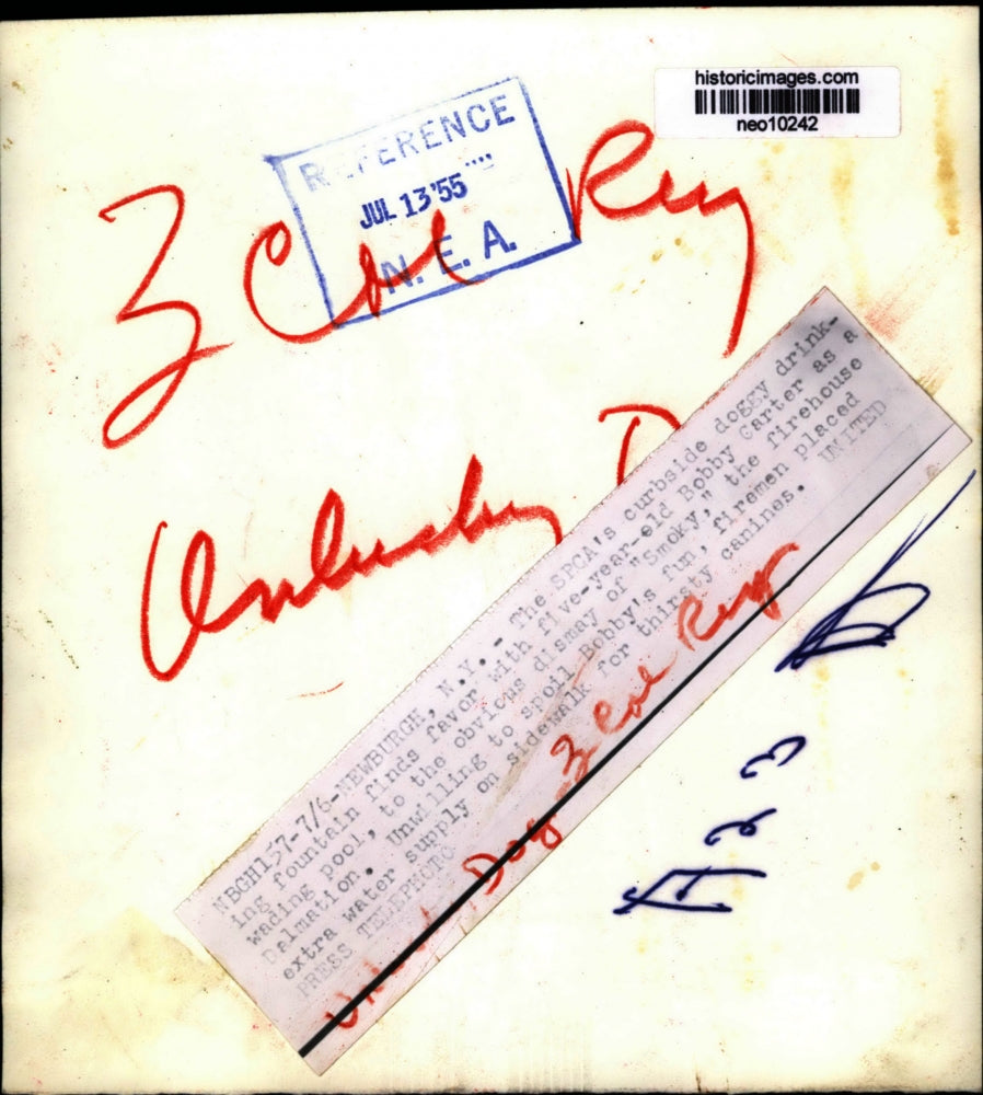 1955 Press Photo Bobby Carter with Smoky at SPCA doggy drinking fountain in NY