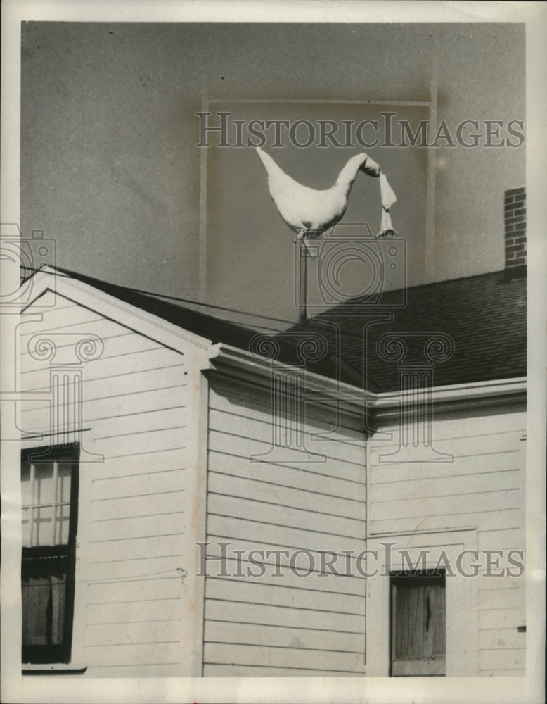 1948 Press Photo Mr. & Mrs. Raymond Weltzel find stork atop their roof in Dayton