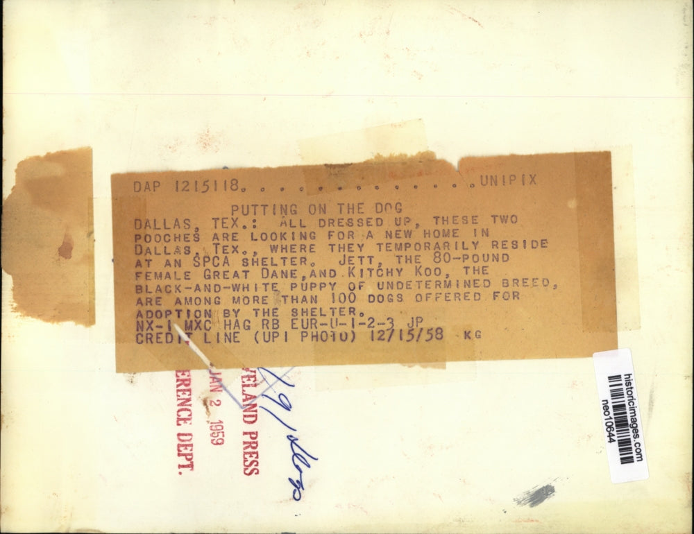 1958 Press Photo Jett and Kitchy Koo of SPCA Shelter looking for homes