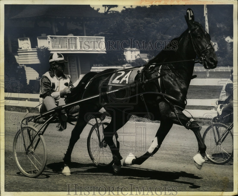 Load image into Gallery viewer, 1959 Press Photo "Lord Chutney" Horse in Hambletonian Race, Du Quoin, Illinois
