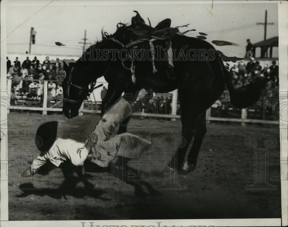 1933 Press Photo Wayne Johnson & Horse "Haywire" at Western Nat'l Livestock Show