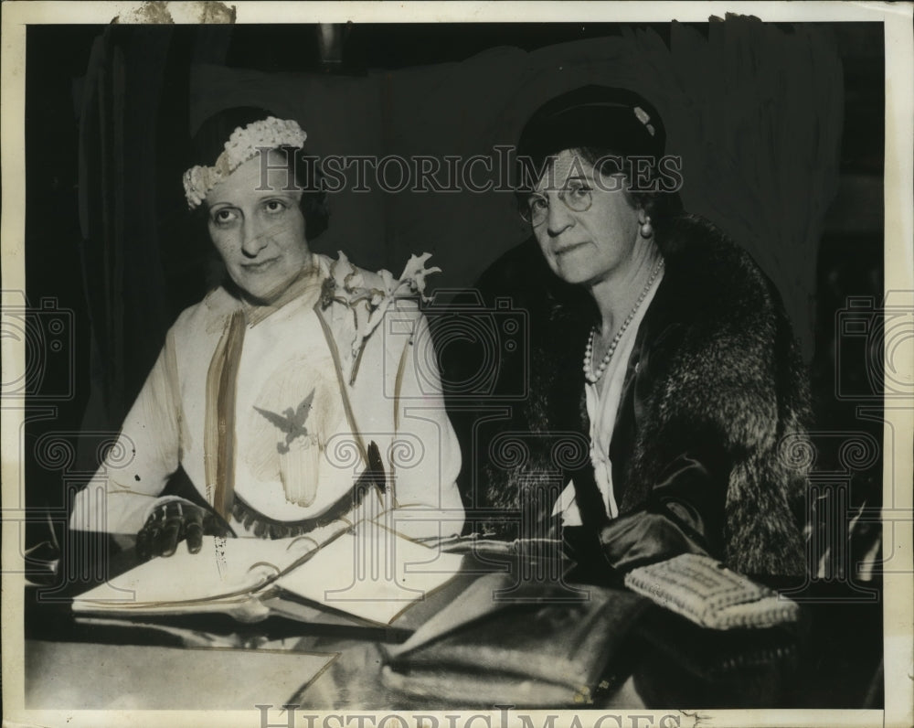 1933 Press Photo Mary Hughes Womens Division of NRA & Mrs G Ketterer - neo11001