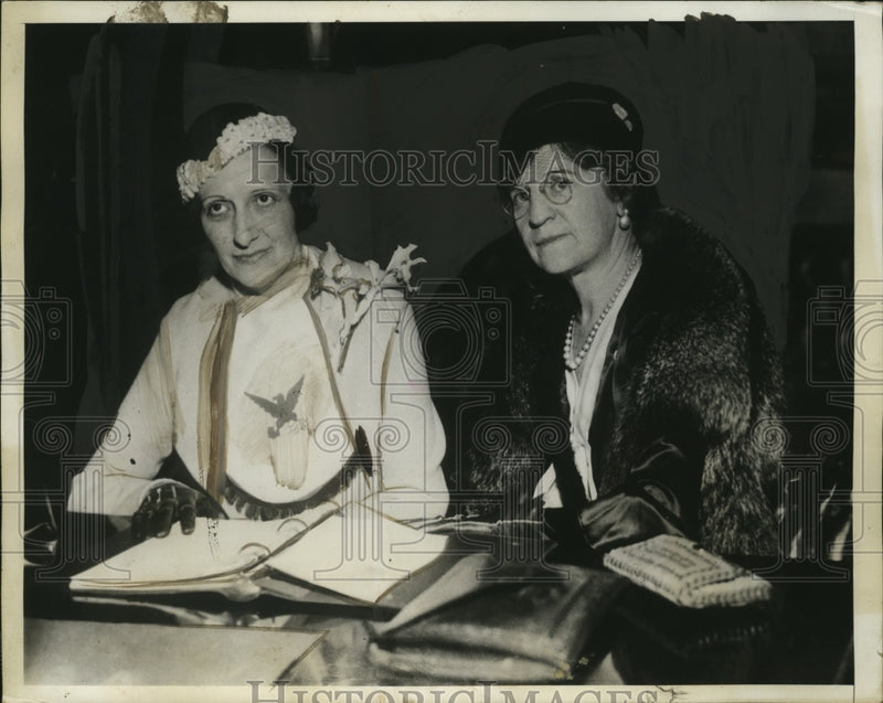 Load image into Gallery viewer, 1933 Press Photo Mary Hughes Womens Division of NRA &amp; Mrs G Ketterer - neo11001

