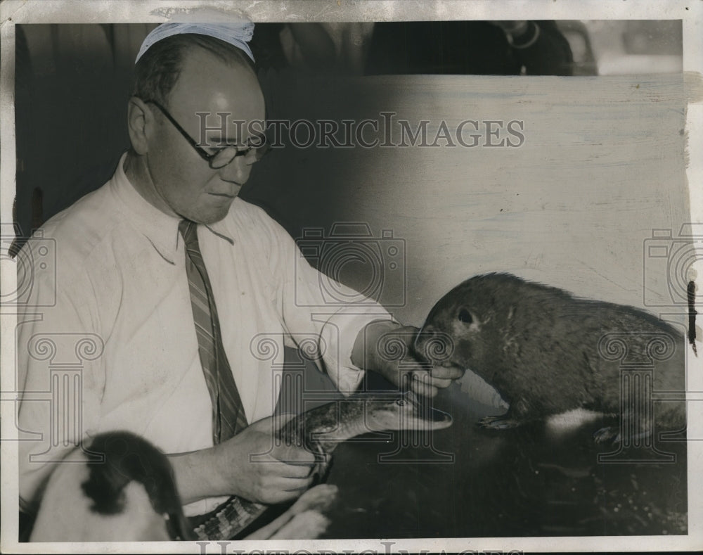 1934 Press Photo John Tidd Tailor with animals - neo12368