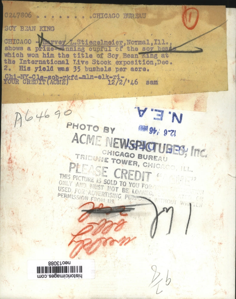 1946 Press Photo Harvey L. Stiegelmeier with prize winning soy beans