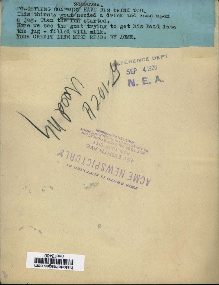 1926 Press Photo Goat Drinking from Jug - neo13400