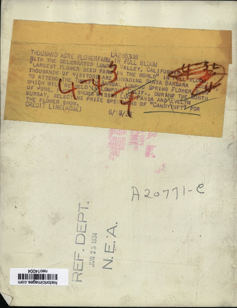 1934 Press Photo Lucy Pansa, Evelyn Murray Picking Candytuft, California