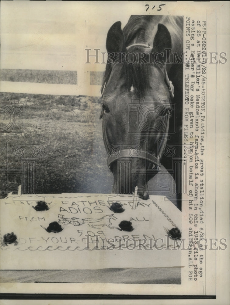 Load image into Gallery viewer, 1965 Press Photo "Adios" Stallion Dies at Del Miller's Meadowlands Farm, PA
