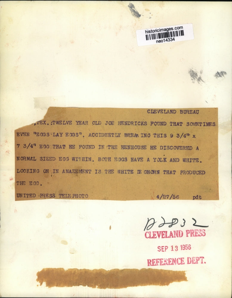 1956 Press Photo Egg inside Egg Found by Joe Hendricks, Texas - neo14334