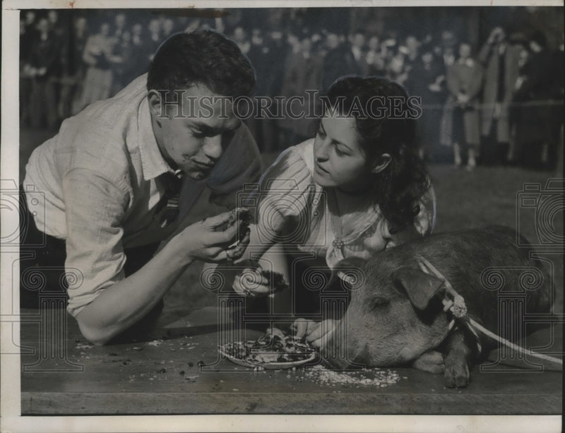 Load image into Gallery viewer, 1938 Press Photo Al Dreyfuss has eating race with pig Salomey Univ. of Chicago
