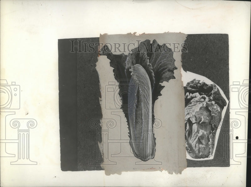 Load image into Gallery viewer, 1945 Press Photo Cabbage - neo15613
