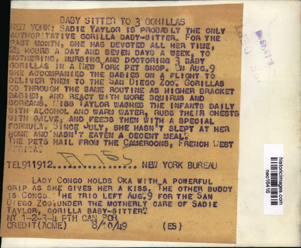 1949 Press Photo Lady Congo holds Oka San Diego Zoo under care of Sadie Taylor