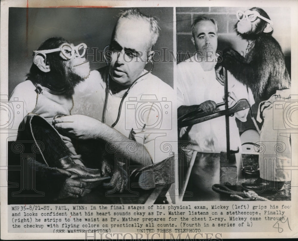 1952 Press Photo Chimpanzee Mickey During Checkup with Dr. Mather, St. Paul