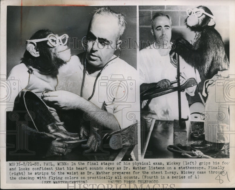 Load image into Gallery viewer, 1952 Press Photo Chimpanzee Mickey During Checkup with Dr. Mather, St. Paul
