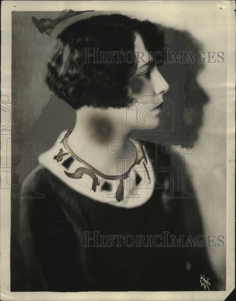 1926 Press Photo Mrs. Nolan L. Hussey - neo17602