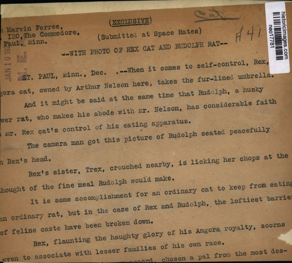 1929 Press Photo Cat Rex Tolerates Rat Rudolph - neo17781