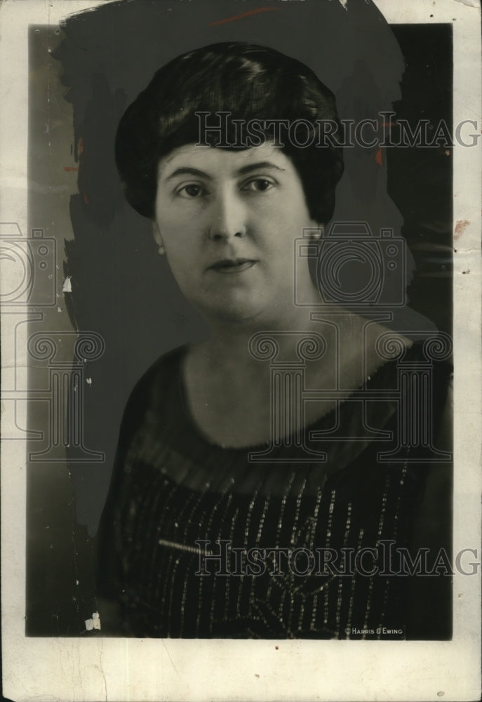 1929 Press Photo Mrs. Arthur M. Hyde, Wife of Sec of Agriculture - neo18486