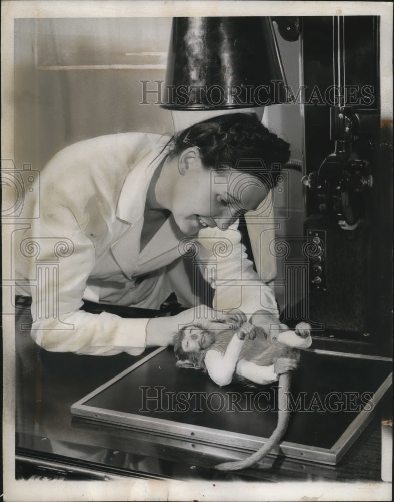 Load image into Gallery viewer, 1949 Press Photo Sorrowful the money with Nurse Agnes McGuire Lincoln Park Zoo
