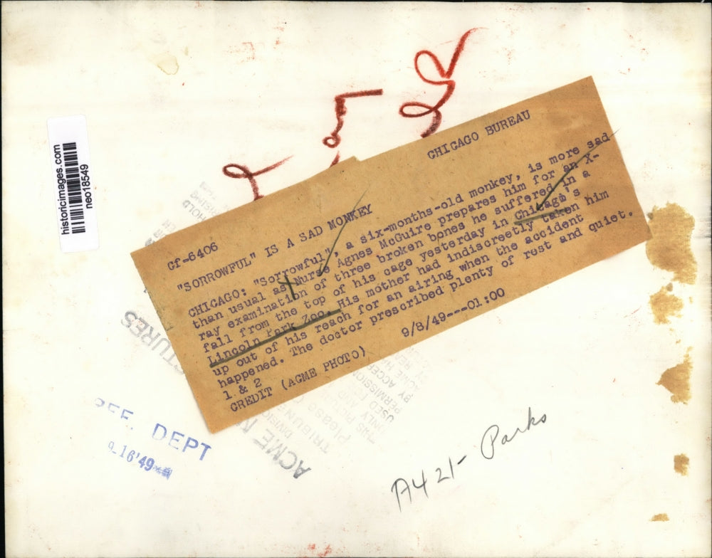 1949 Press Photo Sorrowful the money with Nurse Agnes McGuire Lincoln Park Zoo