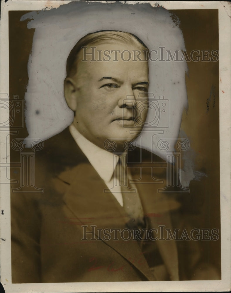 1932 Press Photo President Herbert Hoover in Washington DC - neo19106