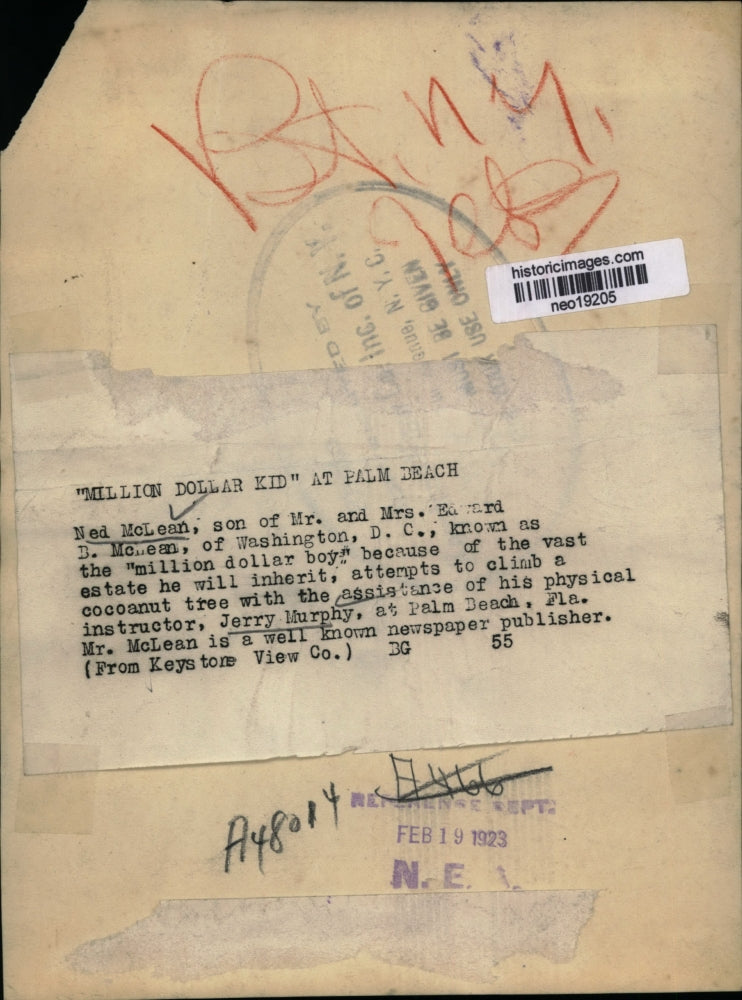 1923 Press Photo Ned McLean Million dollar boy climbs tree with Jerry Murphy