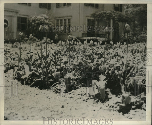 1945 Press Photo New England Suffers $1,000,000 Snow Damage in Crops & Property- Historic Images