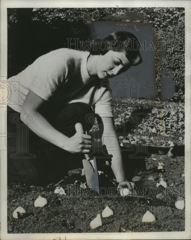 1955 Press Photo A woman planting bulbs in a Cleveland garden - neo20022