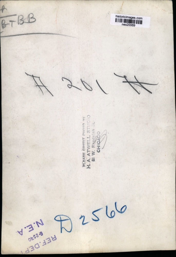 1940 Press Photo Hippopotamus - neo20069