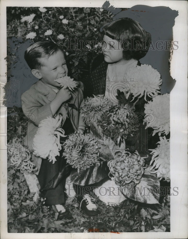 Load image into Gallery viewer, 1954 Press Photo Johnny &amp; Ellen Klimek with chrysanthemum flowers in Chicago
