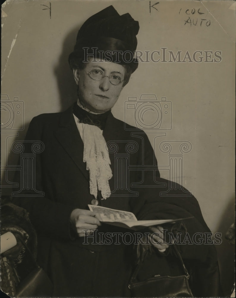 1918 Press Photo Mrs. John D. Sherman, Chairman of Conservation Department