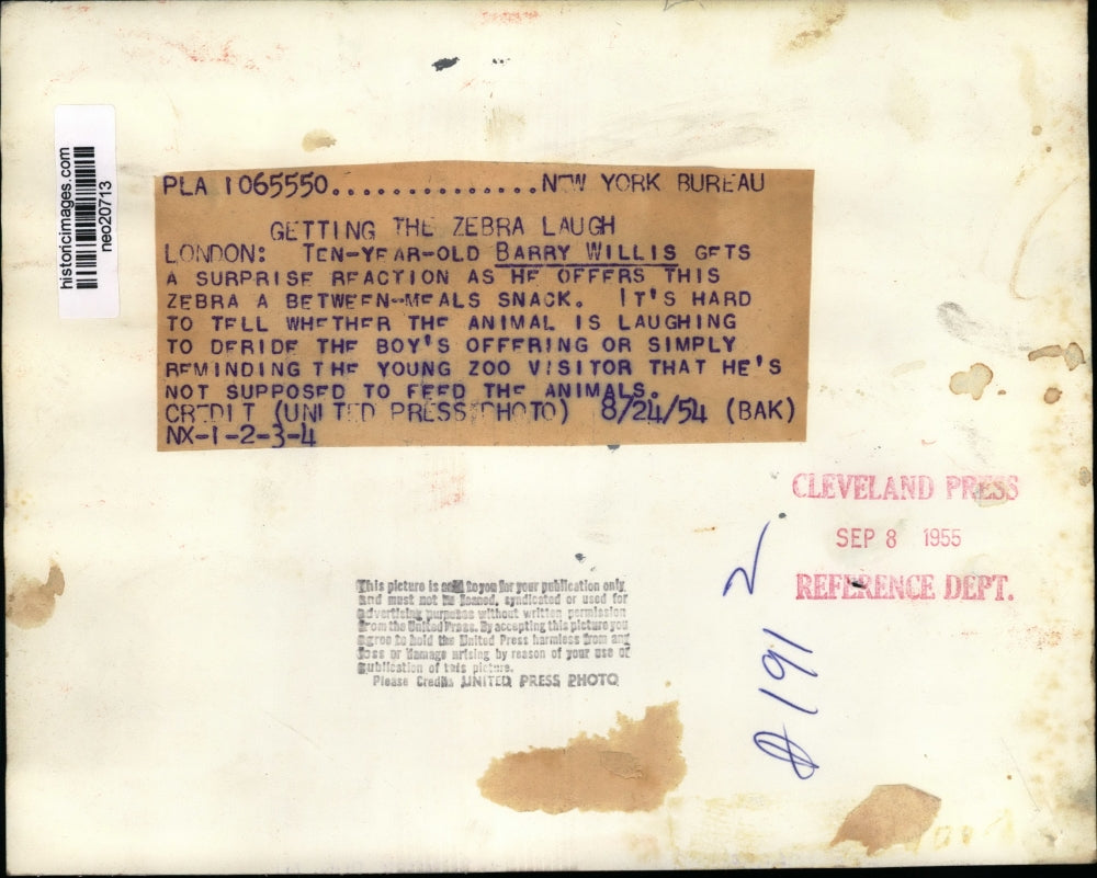 1954 Press Photo Barry Willis feeds a zebra at London zoo - neo20713
