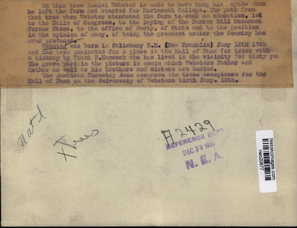 1920 Press Photo Farm Where Secy of State Daniel Webster Grew Up - neo20877