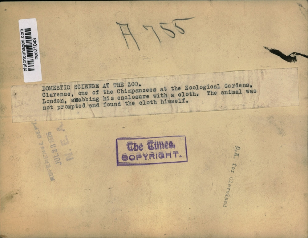 1926 Press Photo Zoological Gardens, London Chimp Swabs Enclosure with Cloth