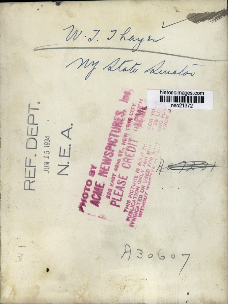 1934 Press Photo NY State Senator, W J. Thayer - neo21372