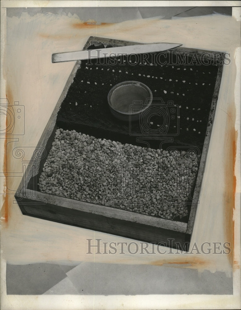 1945 Press Photo Typical Seed Flat for Raising Plants Indoors - neo21522
