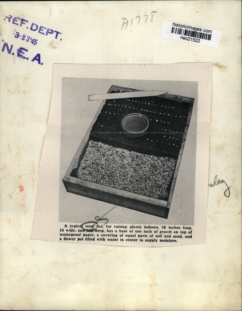 1945 Press Photo Typical Seed Flat for Raising Plants Indoors - neo21522