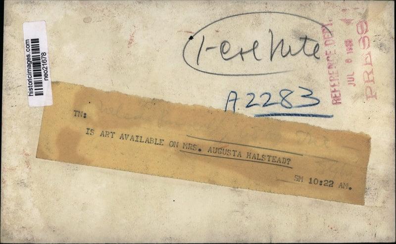 Load image into Gallery viewer, 1933 Press Photo Mrs. Augusta Halstead, Artist - neo21678
