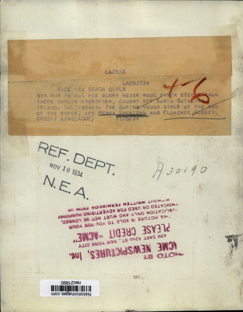 1934 Press Photo Peggy Sheridan & Florence Robbey with Marlin Swordfish